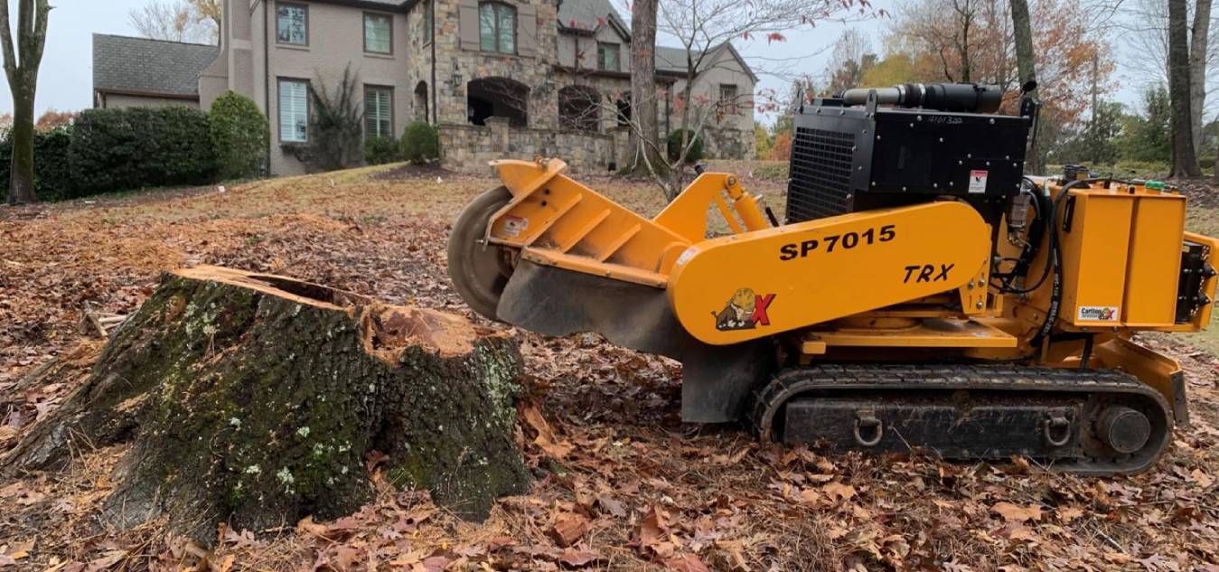 Stump Removal