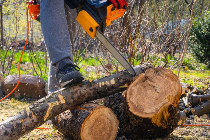 Prevent Tree Regrowth with Expert Stump Grinding Services