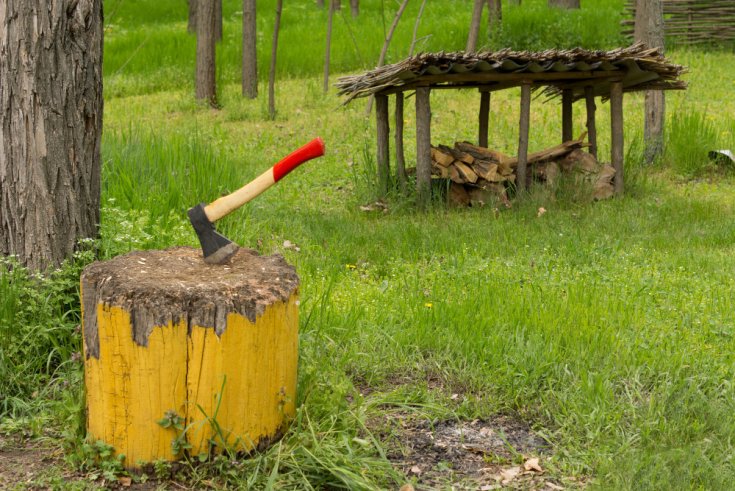 How Stump Removal Improves Your Yard’s Appearance
