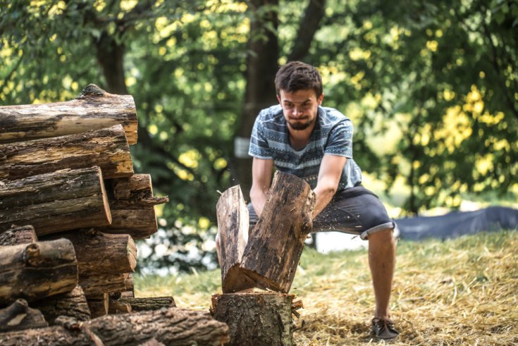 Can a Tree Stump Damage My Lawn Equipment?