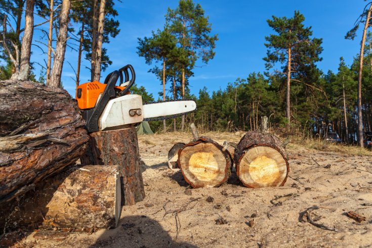 Stump Grinding in Hard-to-Reach Areas