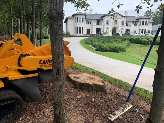How Stump Removal Helps Improve Property Value and Curb Appeal