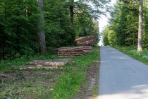 Can You Grind Stumps That…
