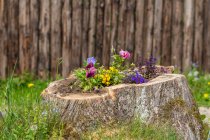 Is Stump Grinding Safe for…