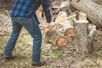 Stump Grinding: Getting to the…