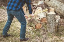 Say Goodbye to Unsightly Stumps:…