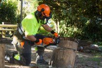 5 Reasons to Hire a…