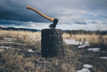 How Long Does Stump Grinding…