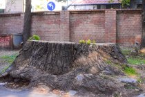 The Surprising Problems Hidden Beneath…