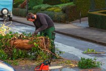 Preparing Your Yard for Replanting…