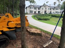 How Stump Removal Helps Improve…