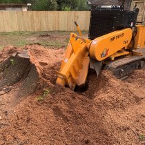 How Deep Does Professional Stump…