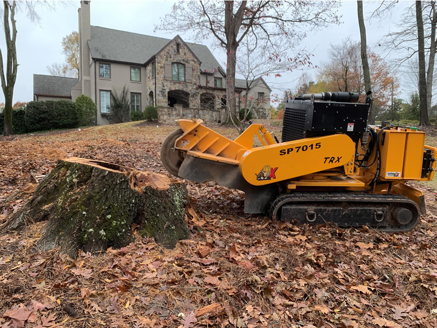 Stump Grinding